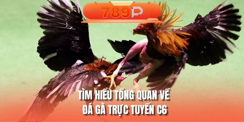 tim-hieu-tong-quan-ve-da-ga-truc-tuyen-c6